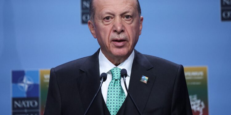 Turkish President Recep Tayyip Erdogan holds a press conference during a NATO leaders summit in Vilnius, Lithuania July 12, 2023. REUTERS/Kacper Pempel