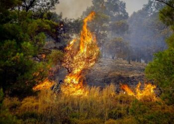 Μεγάλη  πυρκαγιά στην Ρόδο μαίνεται μέχρι αυτήν την ώρα ανεξέλεγκτη, στιγμιότυπα από τις κοινότητες Έμπονας και Απόλλωνας, Τετάρτη 19 Ιουλίου 2023 (ΑΡΓΥΡΗΣ ΜΑΝΤΙΚΟΣ /EUROKINISSI)