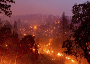 FILE - In this Aug. 25, 2021, file photo the French Fire burns hillsides along Highway 155 in Sequoia National Forest, Calif.  In a season of daunting wildfires and flooding, the Biden administration is taking an initial step to assess how climate change could harm financial markets, planning to launch a 75-day comment period Tuesday, Aug. 31, on how the impacts could reshape the insurance sector. (AP Photo/Noah Berger, File)